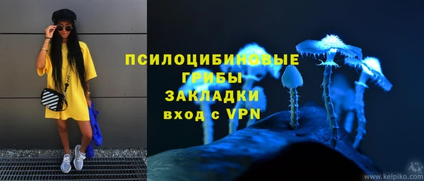 прущая мука Армянск