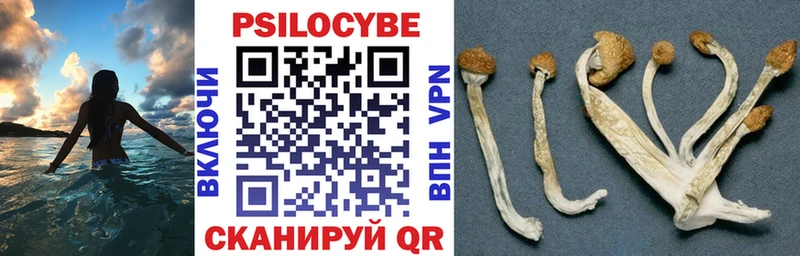 как найти закладки  Белореченск  гидра маркетплейс  Псилоцибиновые грибы мухоморы 